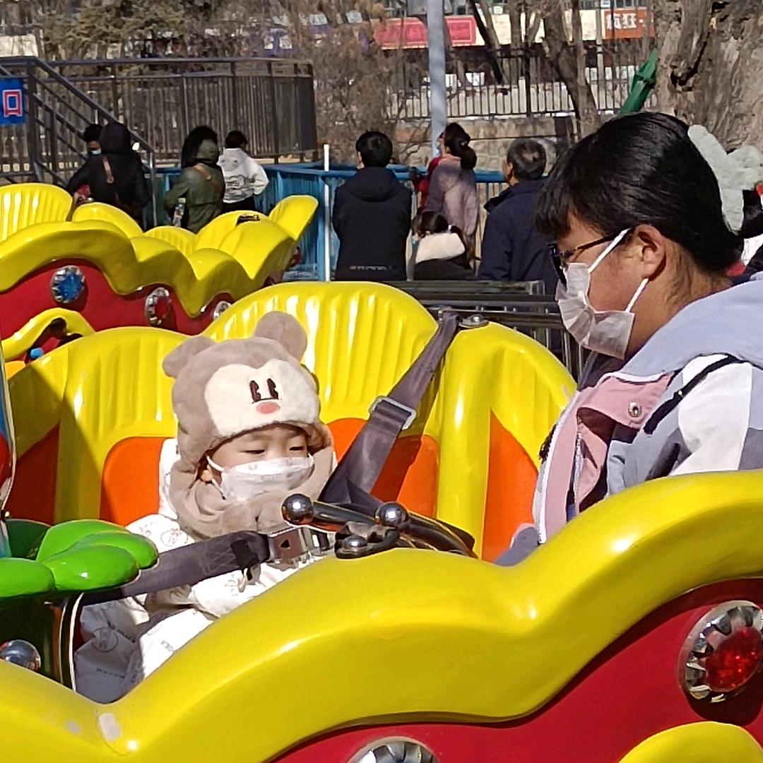树林不大