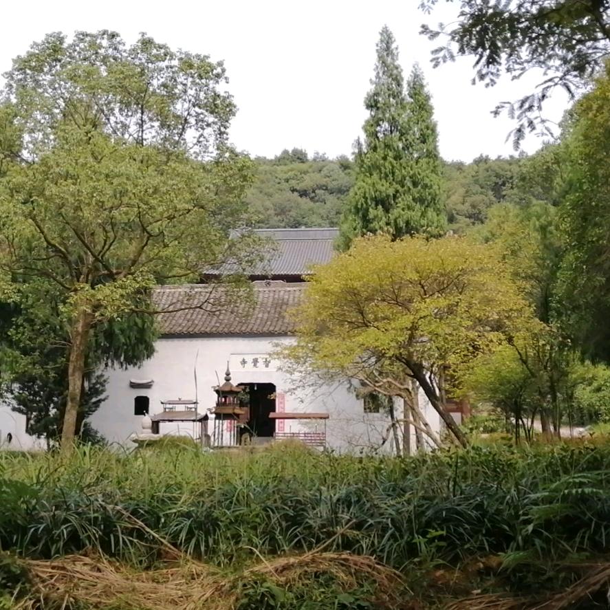 无语23