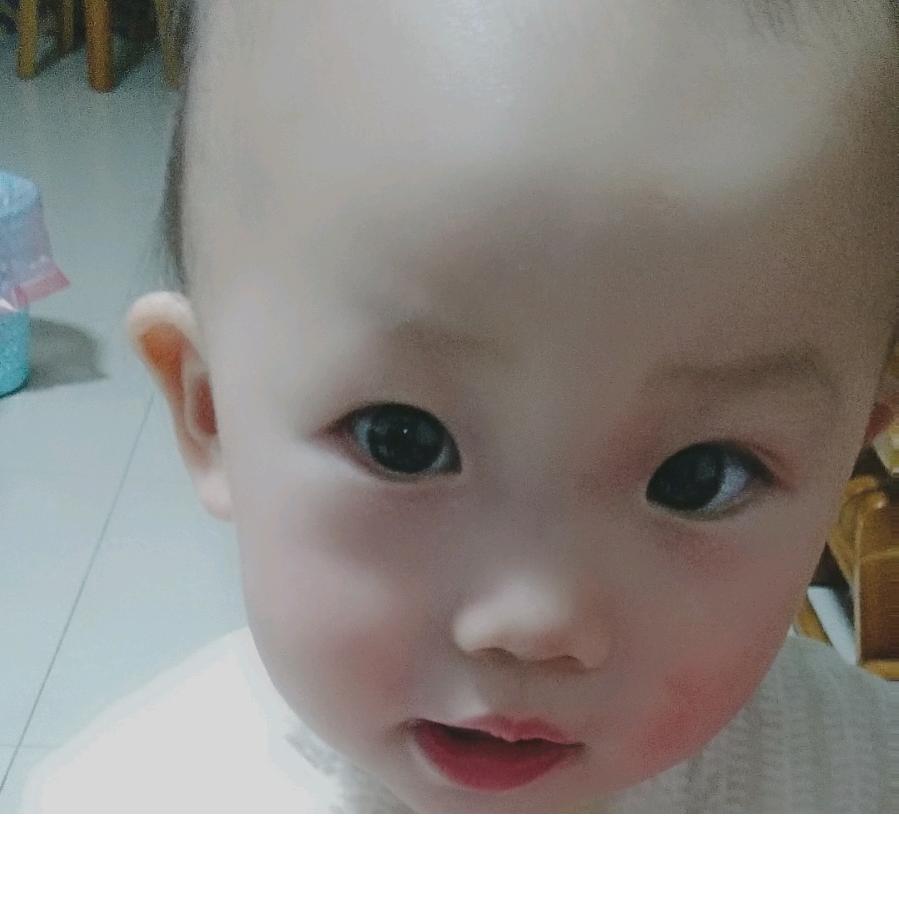 诺诺