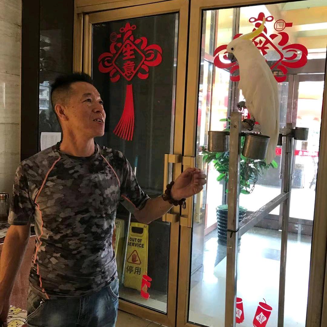 好运（秉革）