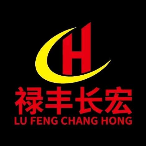 禄丰长宏挖机培训高帅