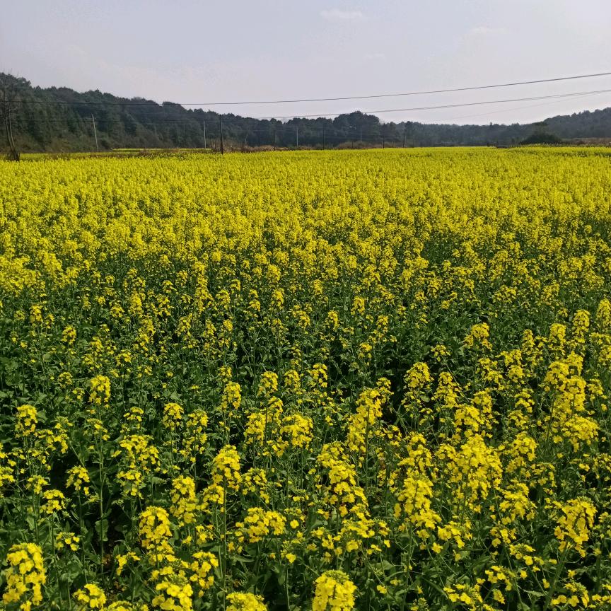 打工人四海为家