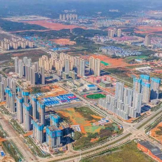 梅溪湖二期每日更新