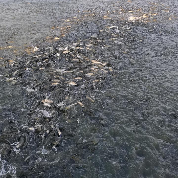 桂林山水甲天下