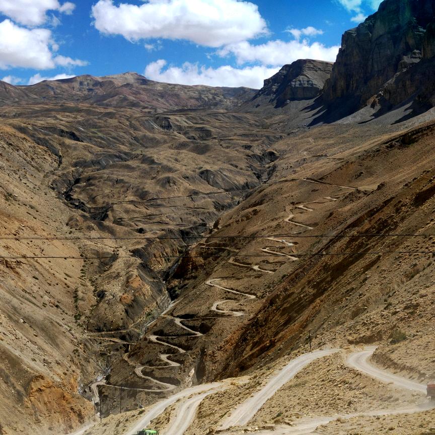 🌴🌹努力奋斗🌹