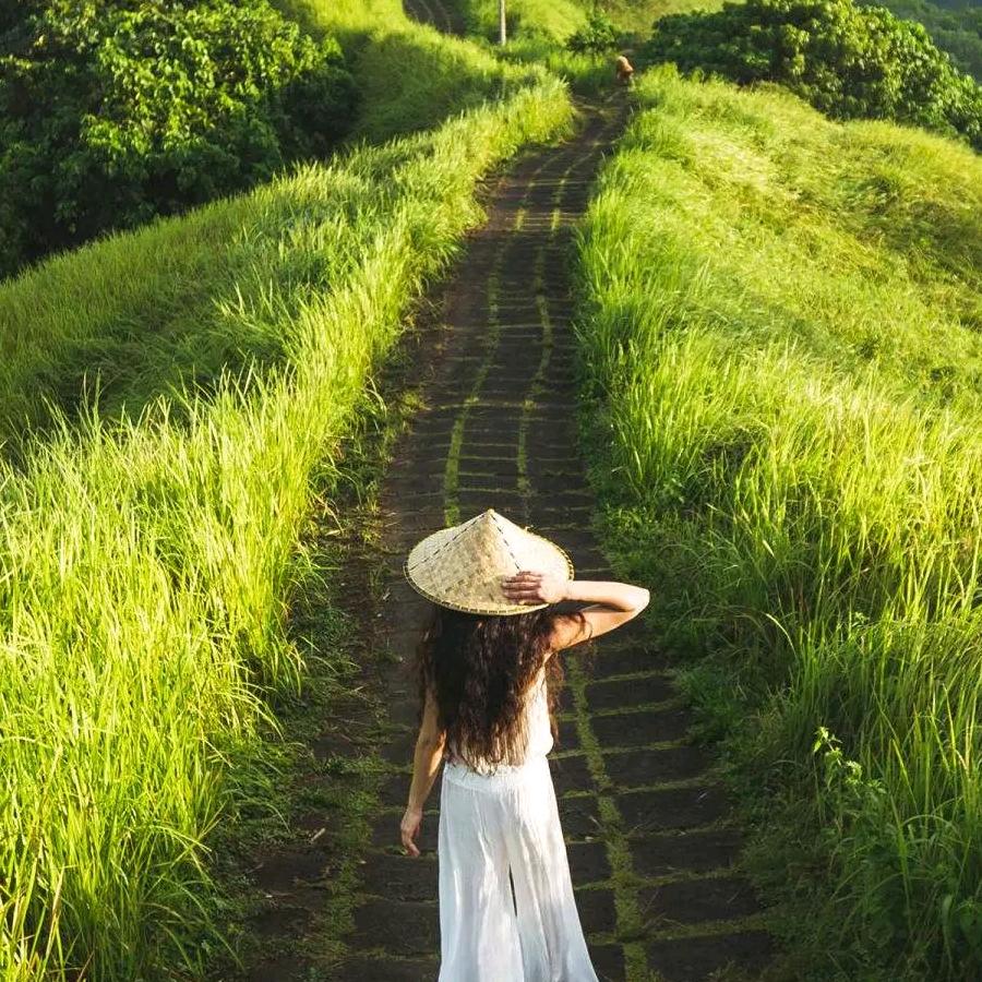 淡淡の丶清香