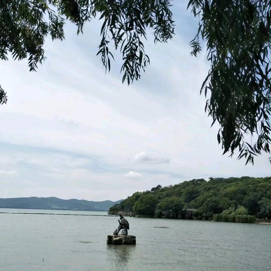 高原归雁（*乾）