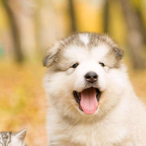 🌈🌈断竿不断线🌈🌈