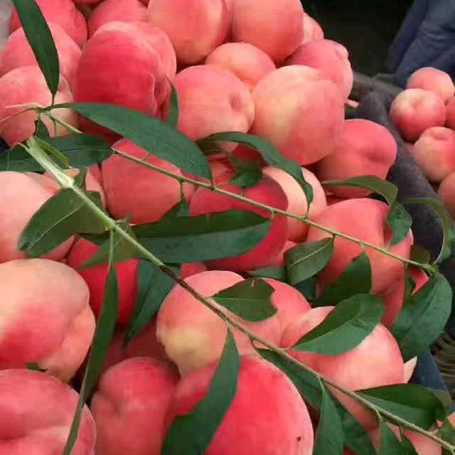 相逢是缘