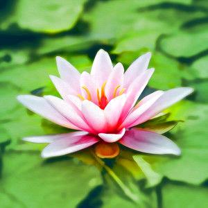 禅音静心