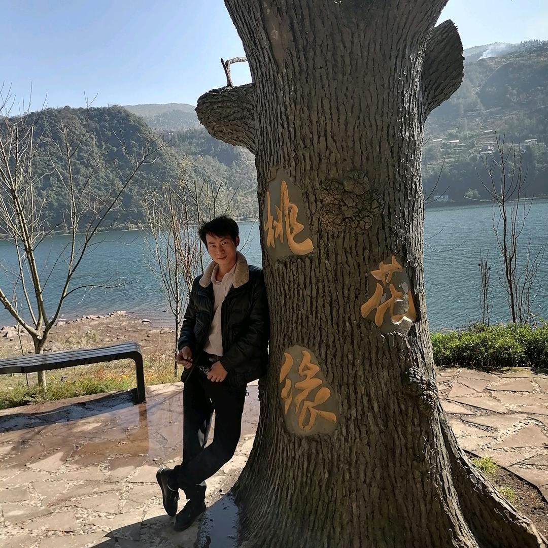 木～槿～花～开