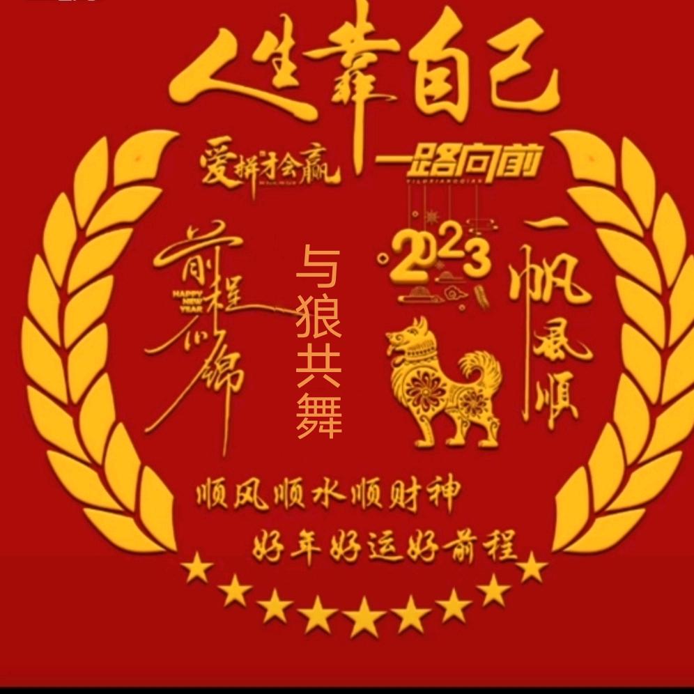 与狼共舞