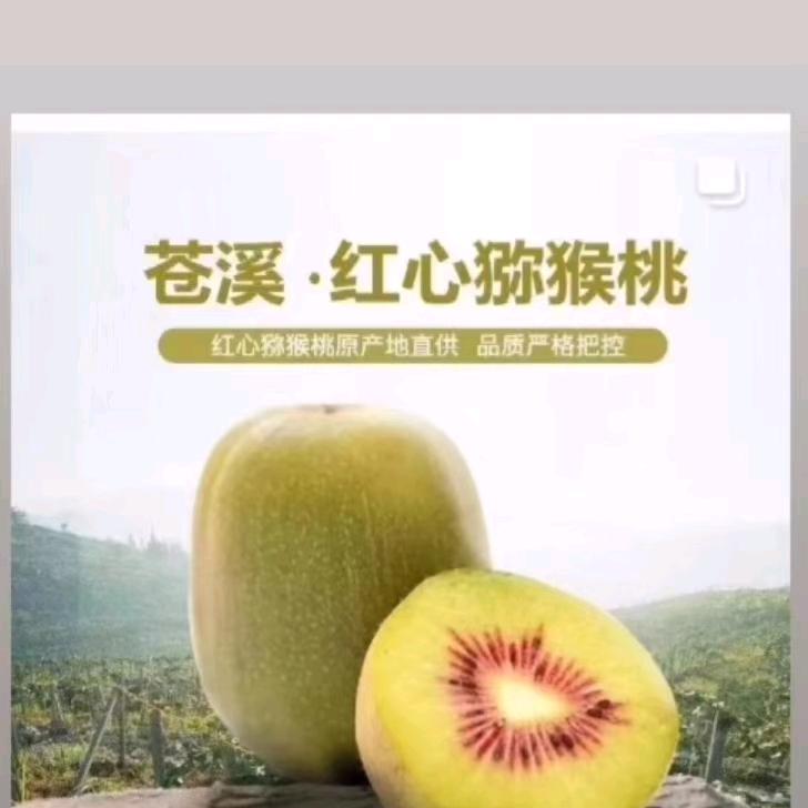 海哥苍溪红心猕猴桃种植户，自产自销
