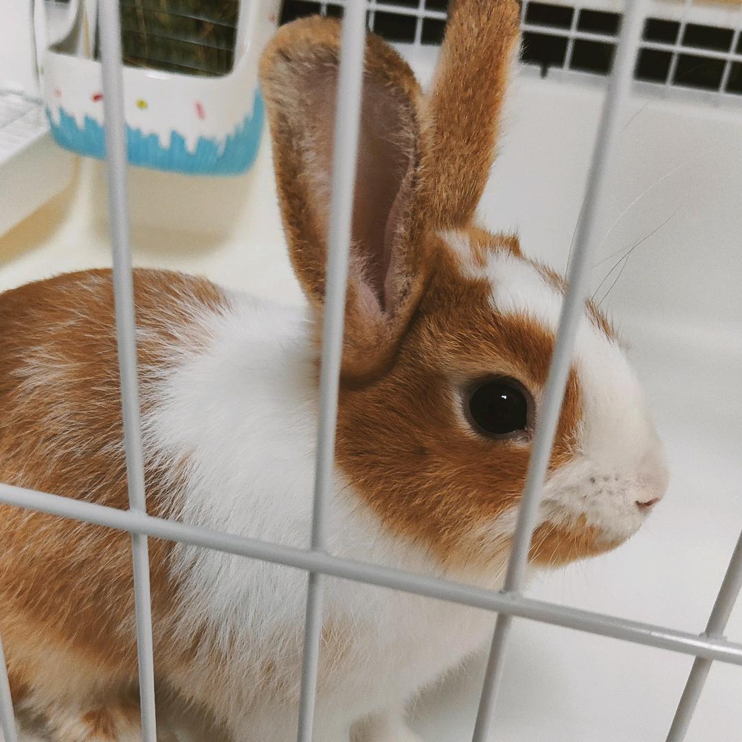 A。。。王