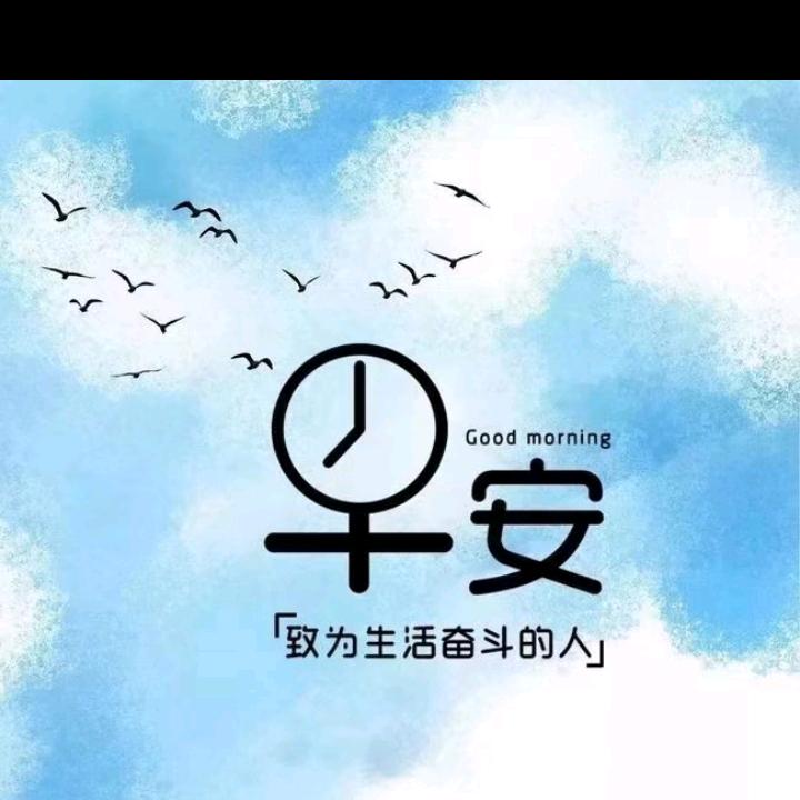 天狼头像