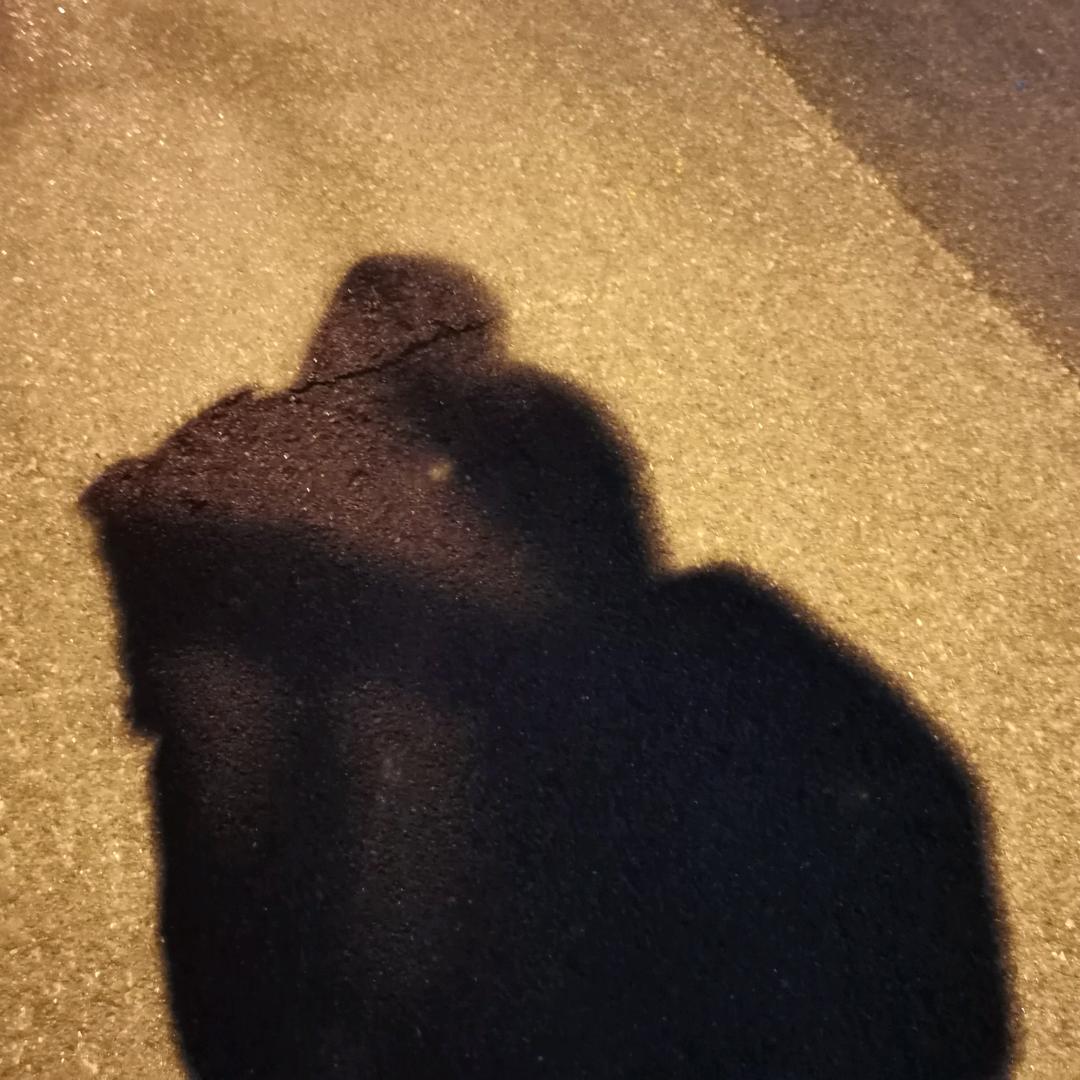 李·先生