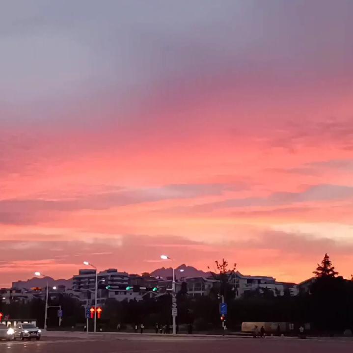 陈一丁爱你呀