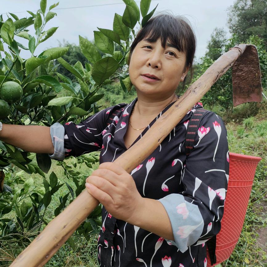 宜宾潘妈妈