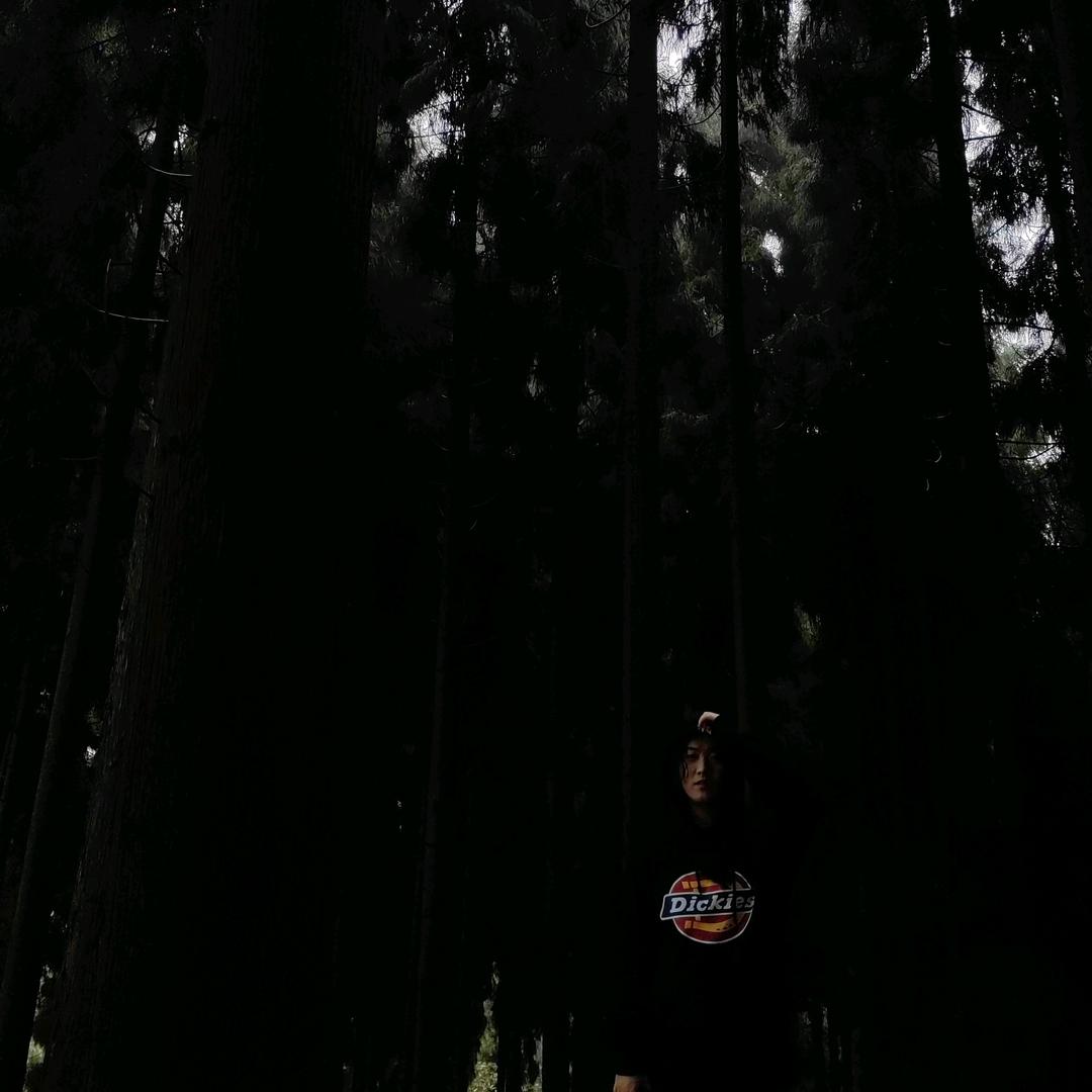 TOWORLDPEACE