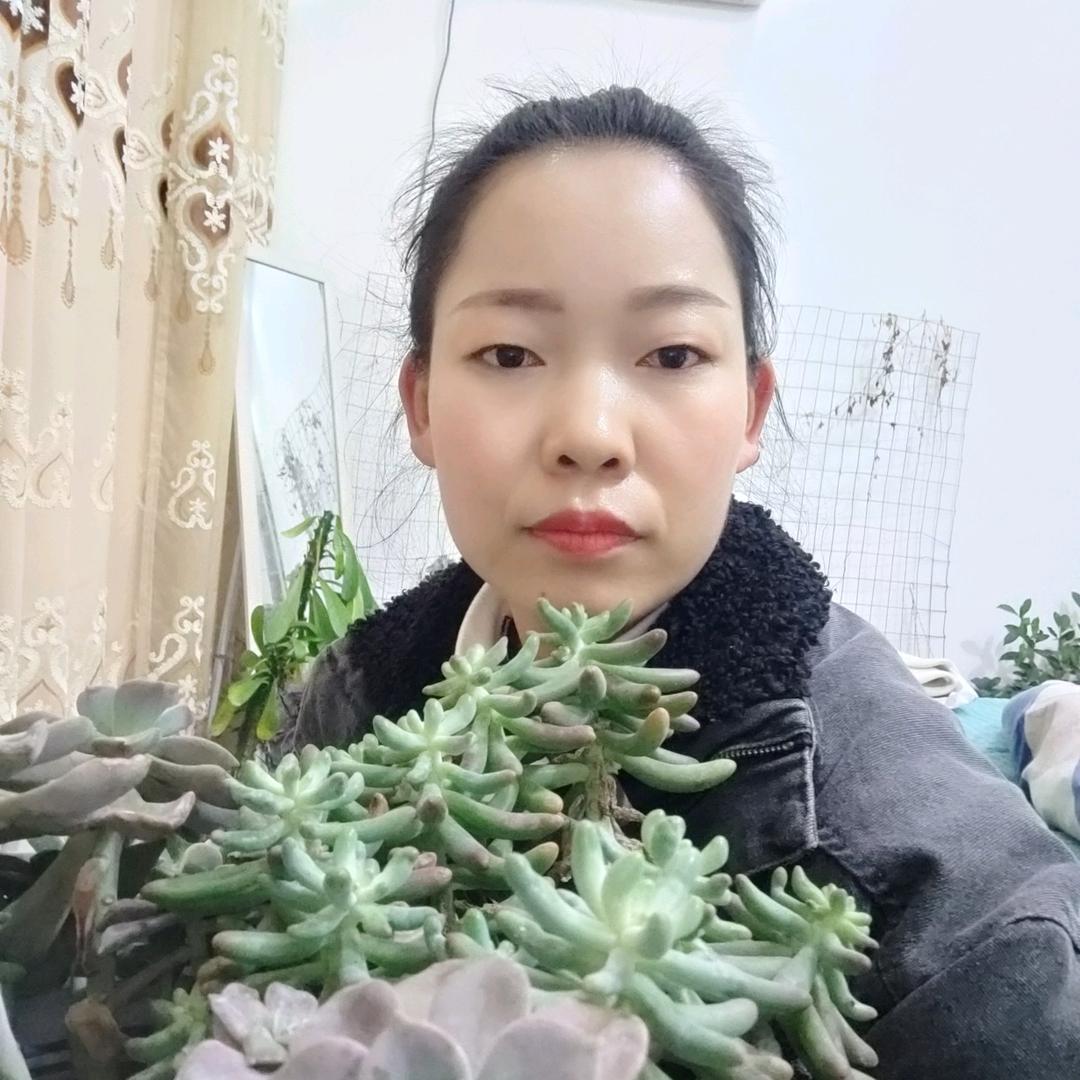 包公庙丹丹80后宝妈