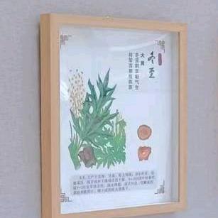 航贝贝