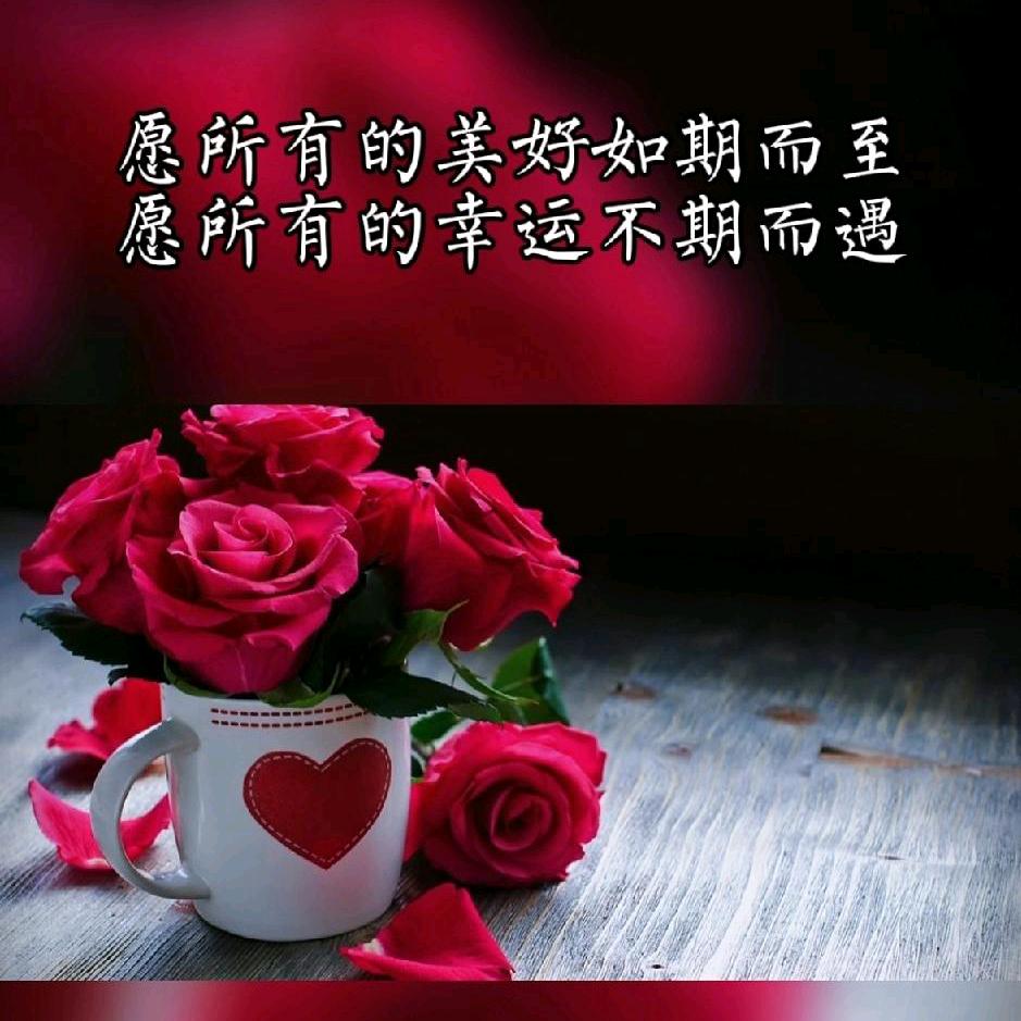 永丰铝材装饰，断桥铝，套装门，钛美合金门
