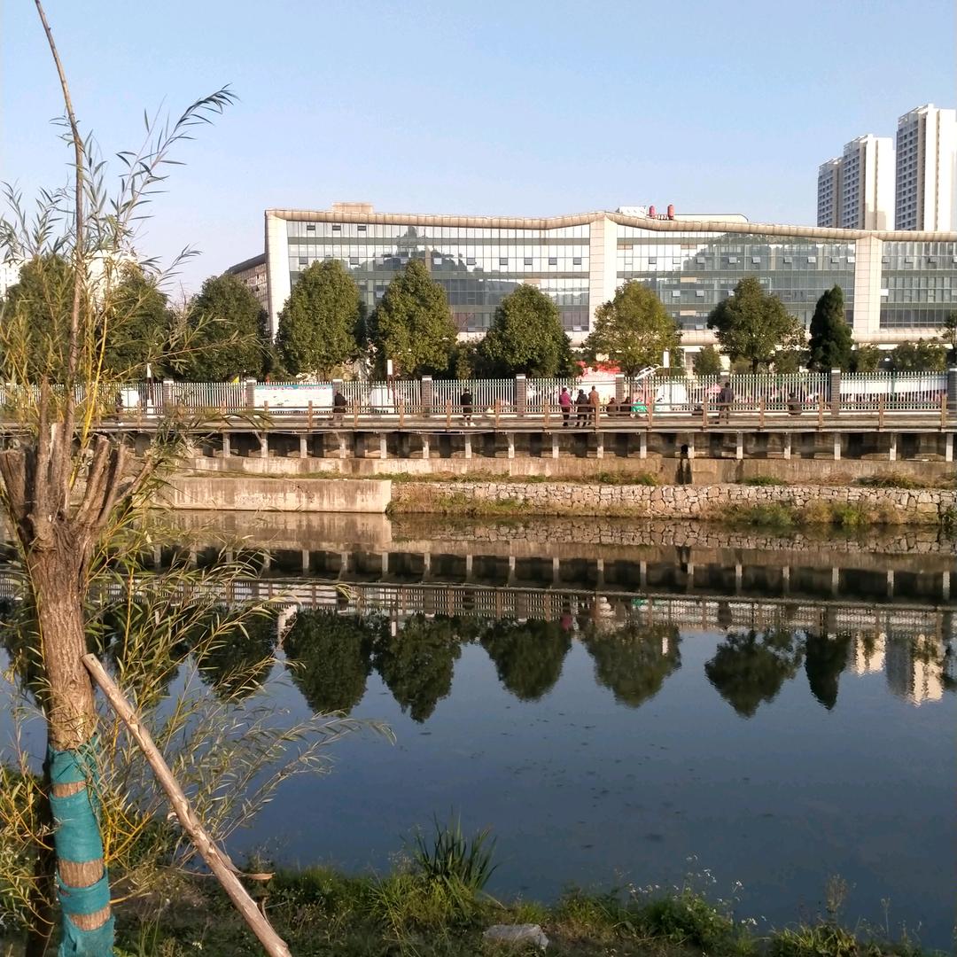 水果