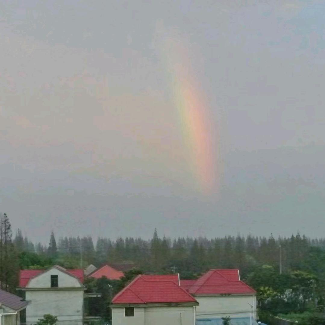 搜索人物