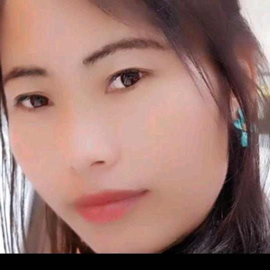 绿色牧场