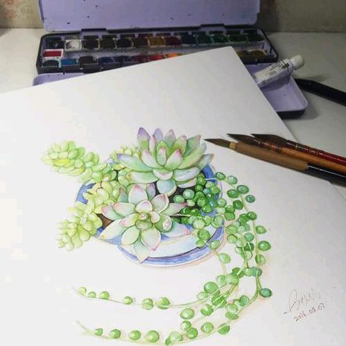 阿猫阿狗阿花阿草