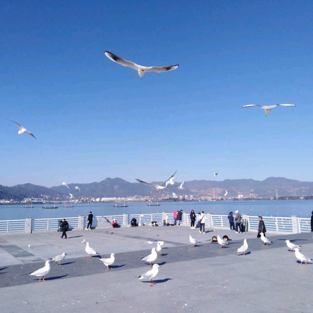 【KMZDC】权