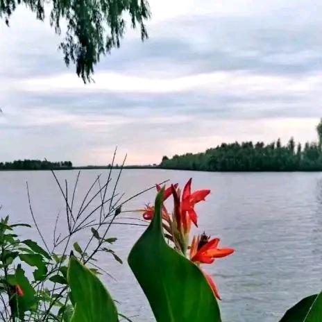 🍒随缘🐥就好🍒