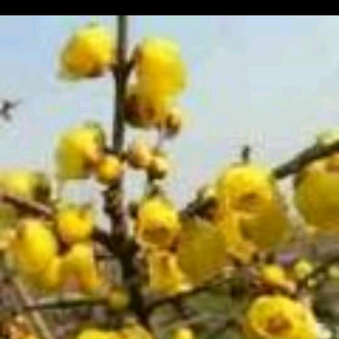家和万事兴(拒聊)