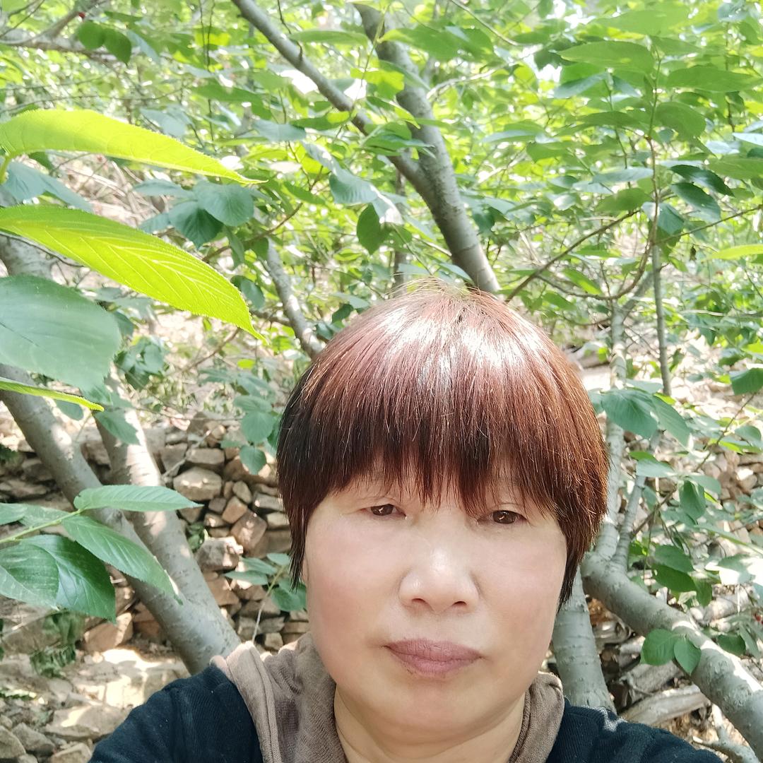 如水年华