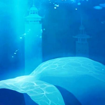 过去式流浪