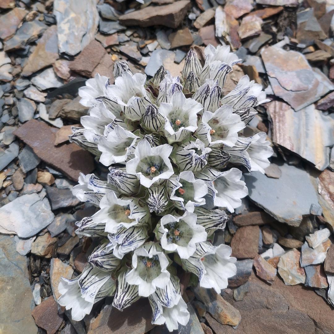 用户爱亲亲和爱家人