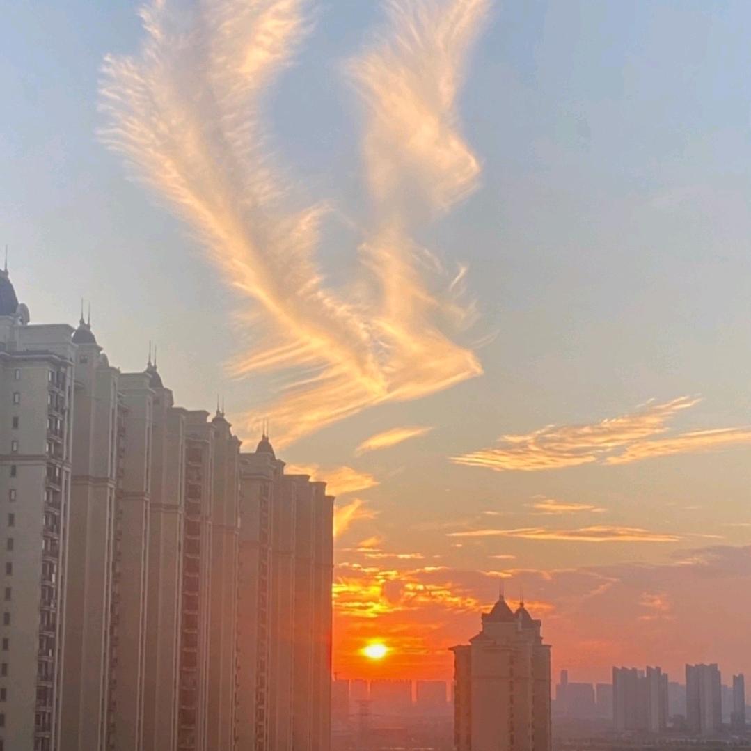曲中人头像