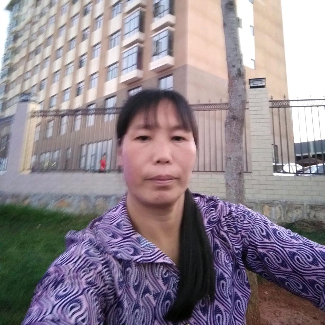 叶落浮尘