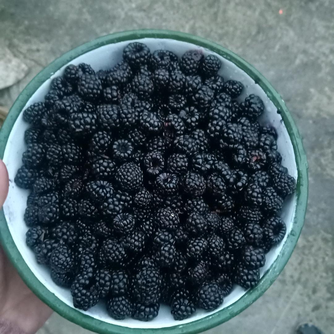 益心