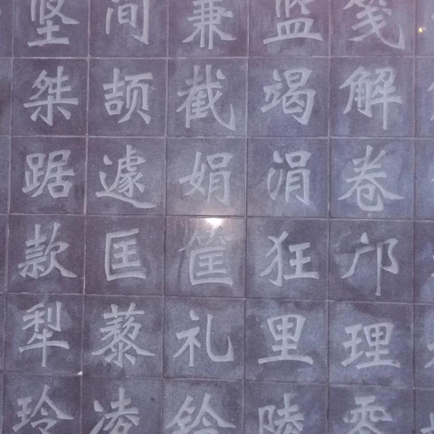 美好的生活
