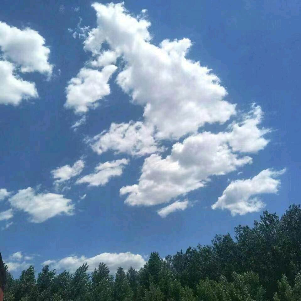 এ᭄猫和老鼠ꦿృ༊