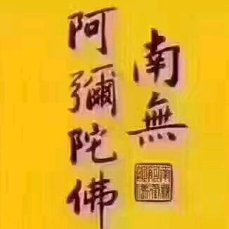 用户与狼共舞