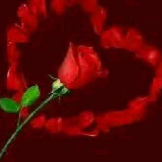 涵涵♥♥颖颖🍁