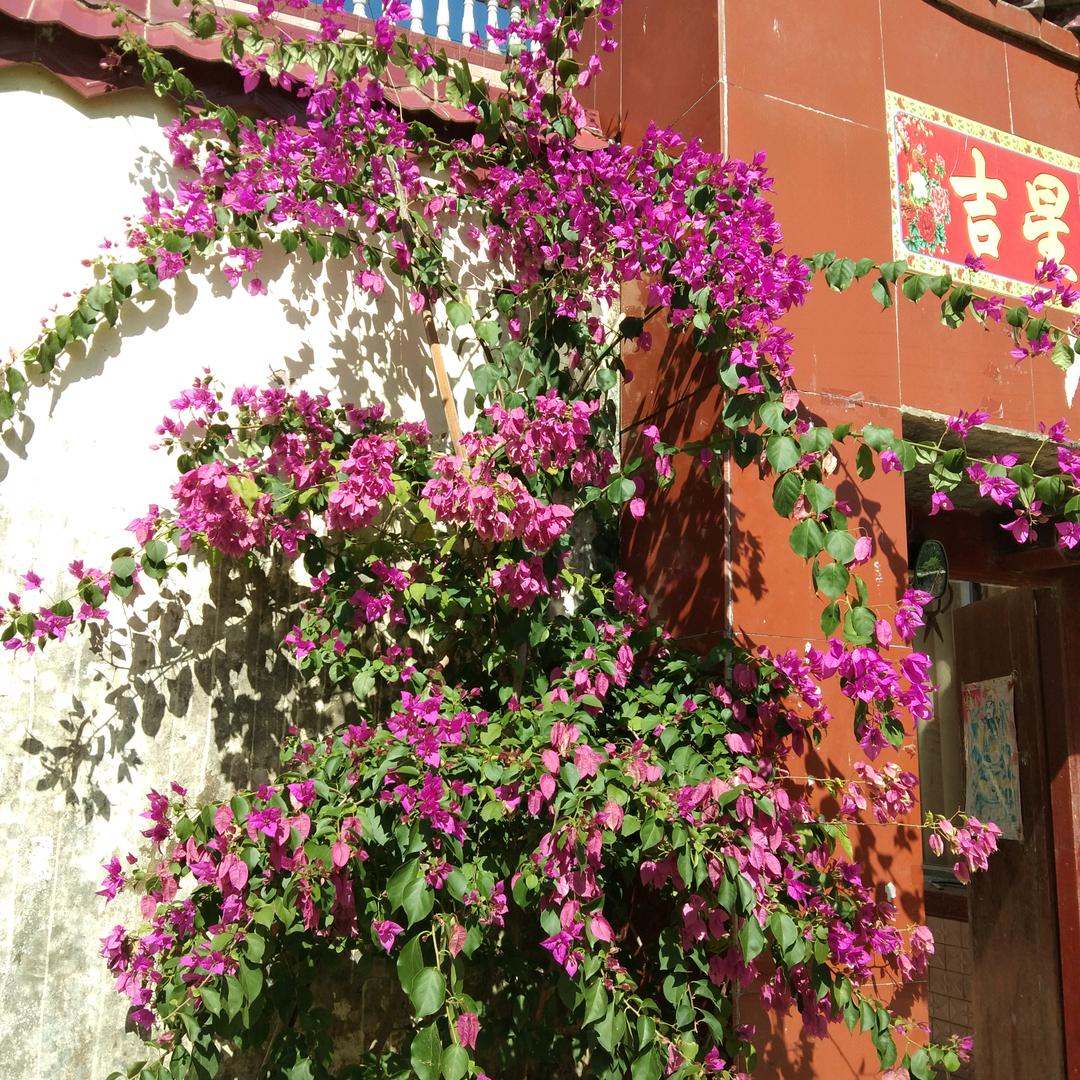 你有情我有意