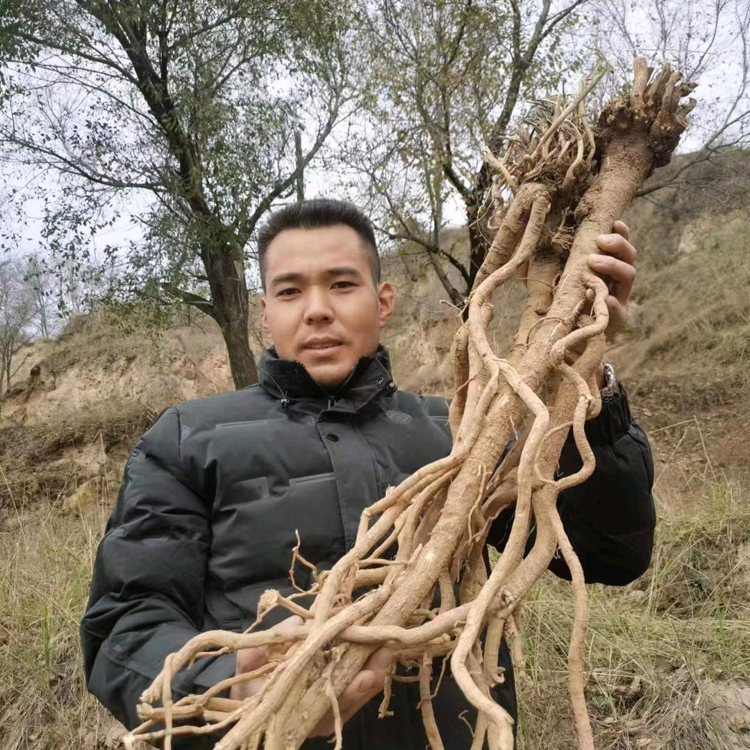 甘肃阿鹏优选