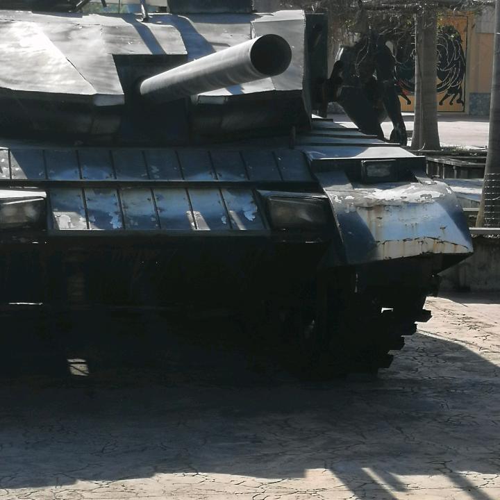 北方狼