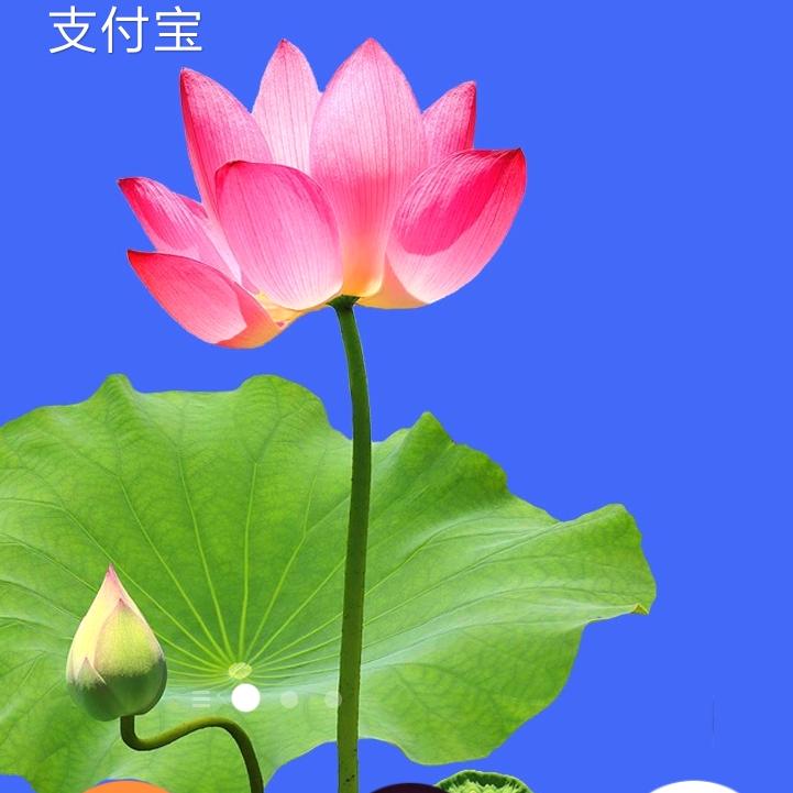 兴
