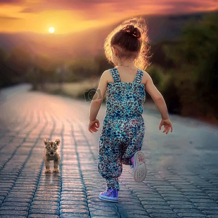 顺其自然1150368059319