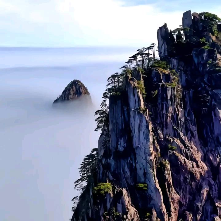 固航人资