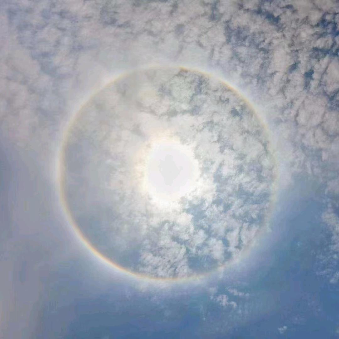 清平乐（抖音诗词）
